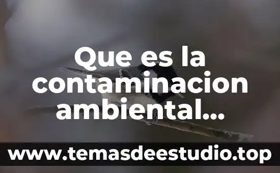 Que es la existencia humana yahoo 6 Que es la contaminacion ambiental industrial