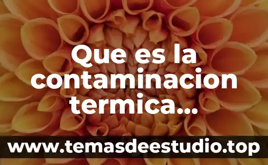 Que es lo mas importante de la contaminacion del agua 3 Que es la contaminacion termica definicion