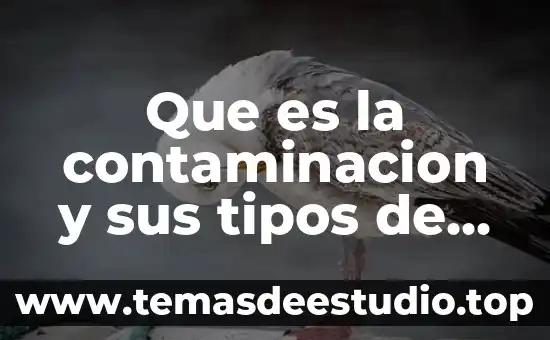 Que es un tipos de compuesto 4 Que es la contaminacion y sus tipos de ejemplos