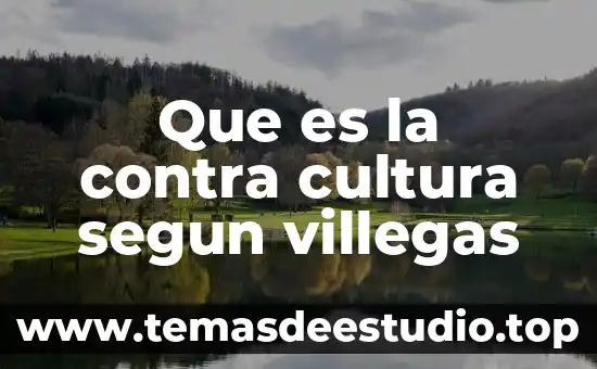 Qué es cultura de contra peso 8 Que es la contra cultura segun villegas