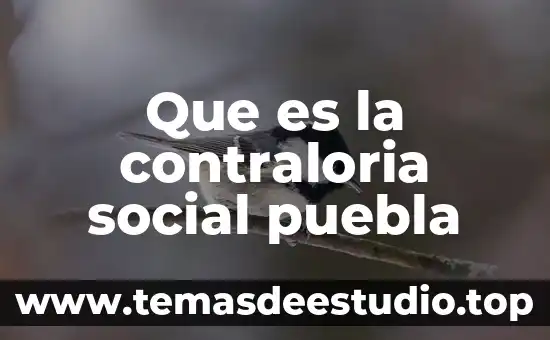 Que es la contraloria social puebla