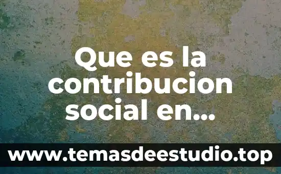 Qué es vark en la educación significado 6 Que es la contribucion social en educacion