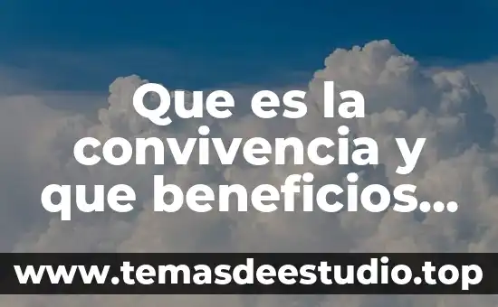 Que es la sociedad de convivencia 4 Que es la convivencia y que beneficios tiene la sociedad