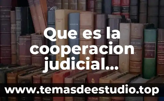 Que es un mecanismo judicial 6 Que es la cooperacion judicial internacional en materia civil
