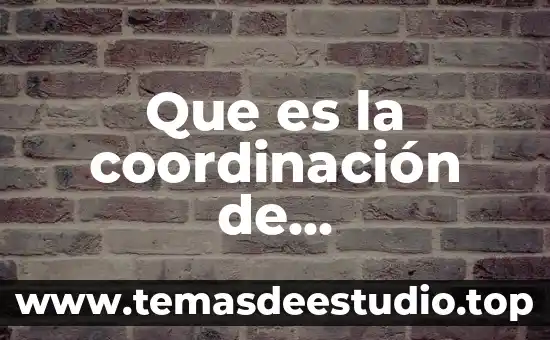 Que es la coordinación de comunicación social