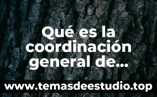 Que es una resolucion general 3 Qué es la coordinación general de universidades tecnológicas y politécnicas