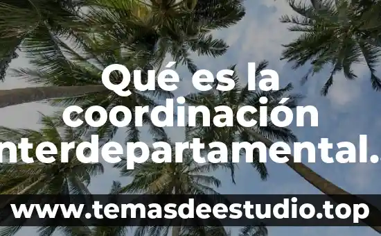 Licenciatura en relaciones comerciales internacionales que es 4 Qué es la coordinación interdepartamental y relaciones humanas