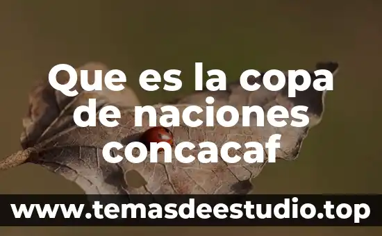 Investigas que es libertad 6 Que es la copa de naciones concacaf
