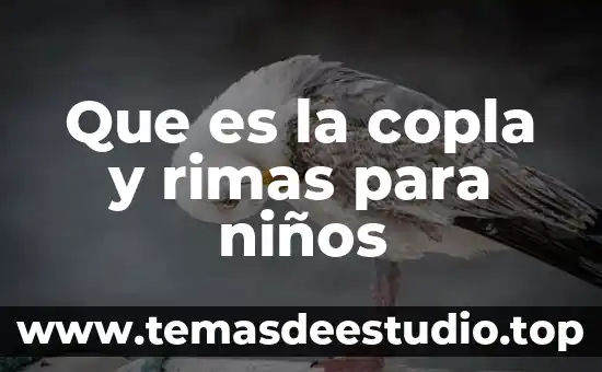 Que es una copla ejemplos 5 Que es la copla y rimas para niños