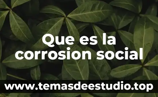 Que es vida social 4 Que es la corrosion social