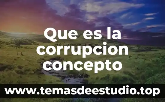 Que es la corrupcion concepto