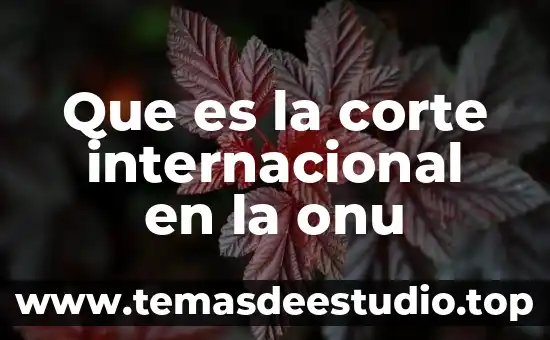 Que es una monografia significado corto 5 Que es la corte internacional en la onu
