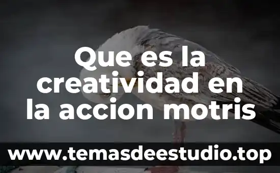 Que es la creatividad en la accion motris