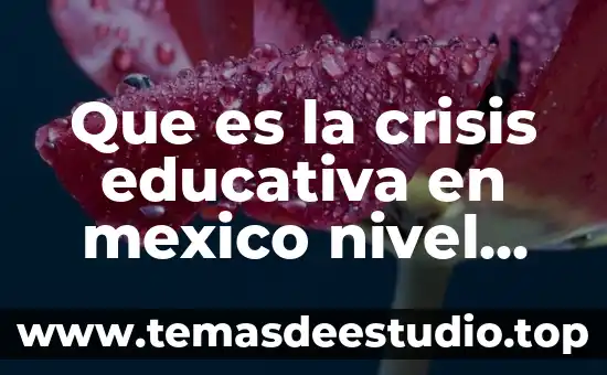 Que es el nivel de oracticas y creencia 3 Que es la crisis educativa en mexico nivel basico