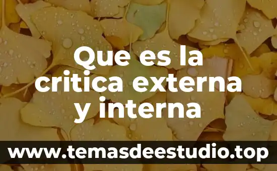 Que es la critica externa y interna