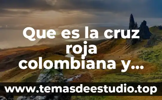 Adan Cruz lo que es mio 5 Que es la cruz roja colombiana y sus funciones
