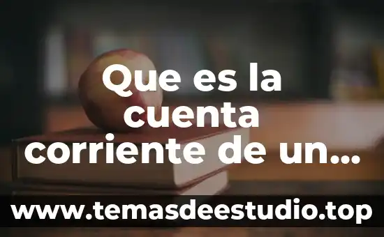Qué es una planta de corriente directa 8 Que es la cuenta corriente de un pais