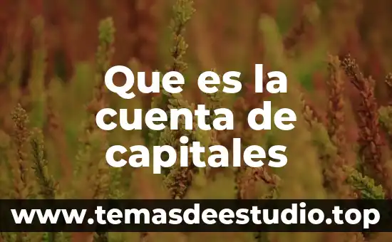 Que es la cuenta de capitales