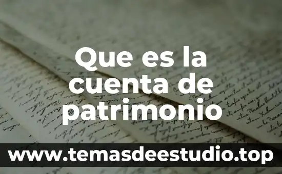 Qué es número de cuenta cartoon network 3 Que es la cuenta de patrimonio