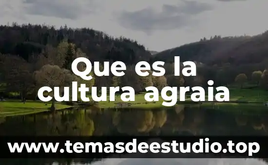 Qué es el efecto amriposa 7 Que es la cultura agraia