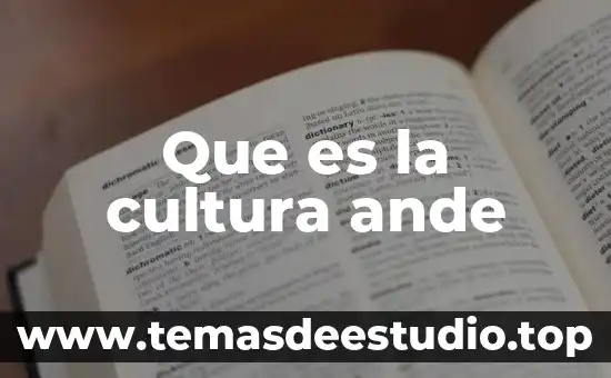 Que es la cultura ande