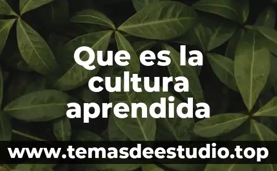 A que es cultura pertenece altotonga 4 Que es la cultura aprendida