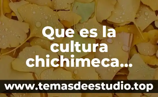 Por que es importante la cultura de donacion 3 Que es la cultura chichimeca alimentos