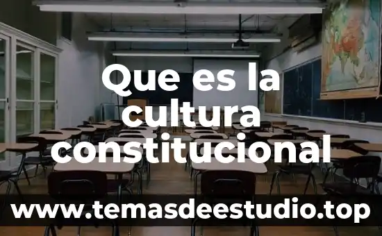 Que es la cultura constitucional