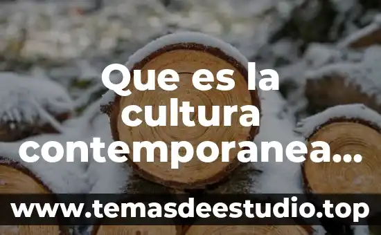 Que es la ecnologia en la sociedad contemporanea 4 Que es la cultura contemporanea de mexico