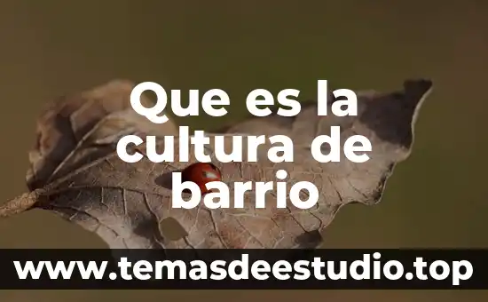 Que es delta media 3 Que es la cultura de barrio