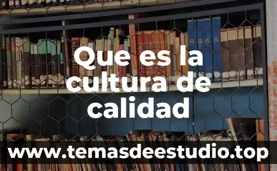 Que es la calidad en atencion en medicina 3 Que es la cultura de calidad
