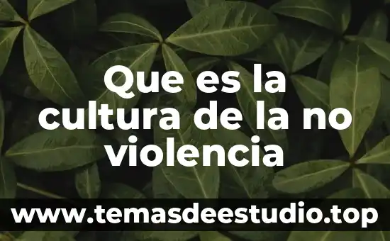 Cultura novohispana que es uaeh 8 Que es la cultura de la no violencia