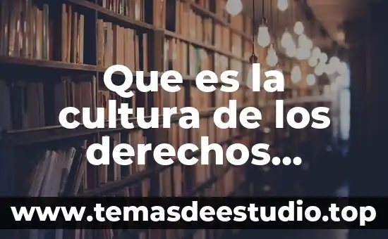 Que es la cultura de los derechos humanos