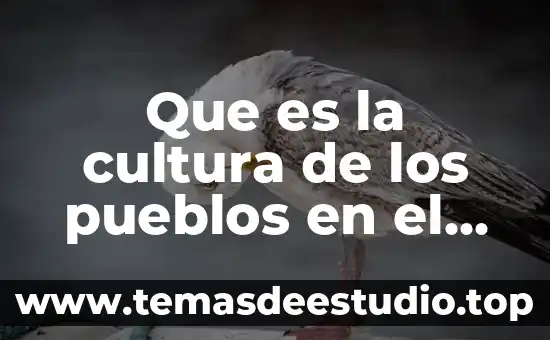 Que es la cultura de los pueblos en el mundo