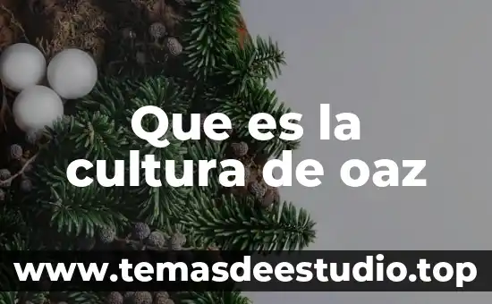 Que es la cultura como ambiente 4 Que es la cultura de oaz