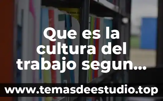 Defina lo según LOPSRM lo siguiente que es comité técnico 3 Que es la cultura del trabajo segun freud
