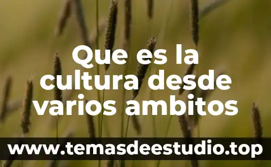 Que es la cultura desde varios ambitos