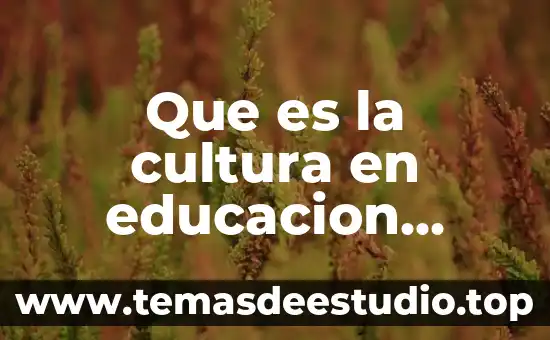 Que es la cultura en educacion ensayo
