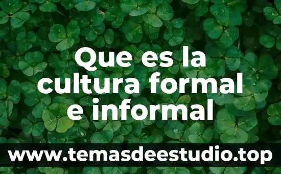 Que es la cultura chichimeca alimentos 4 Que es la cultura formal e informal
