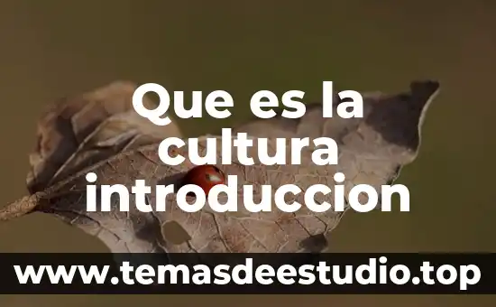 Que es la cultura y la tradicion 8 Que es la cultura introduccion
