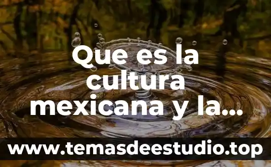 Qué es un reintegro en la lotería nacional mexicana 7 Que es la cultura mexicana y la muerte