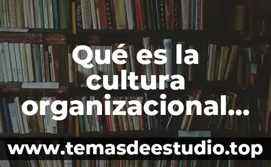 Que es la institución social y ejemplos 6 Qué es la cultura organizacional de una institución educativa