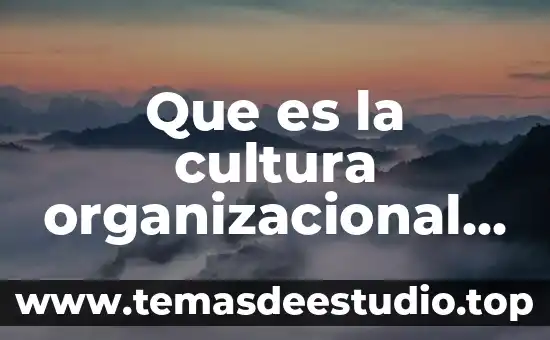 Que es la cultura organizacional y sus formas