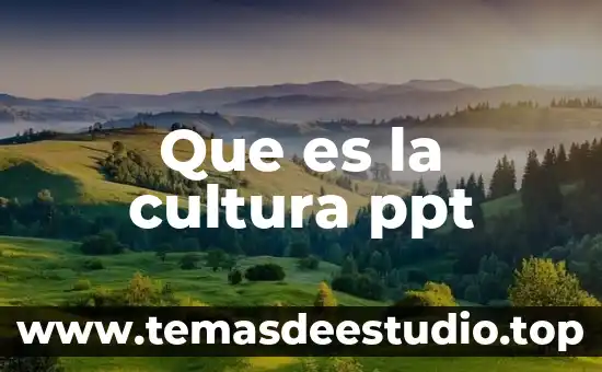 Que es la cultura ppt