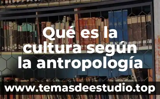 Qué es la saliva composición y función 5 Qué es la cultura según la antropología