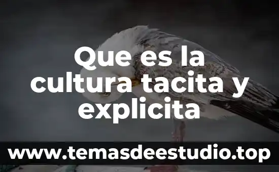 Qué es cultura y qué elementos la componen 7 Que es la cultura tacita y explicita