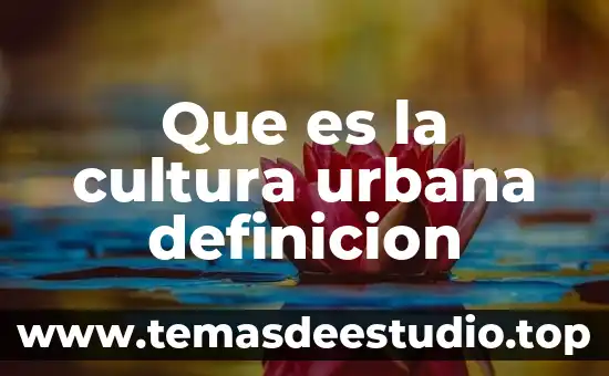 Qué es un perfil de ingreso definición 6 Que es la cultura urbana definicion