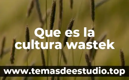 A que es cultura pertenece altotonga 5 Que es la cultura wastek