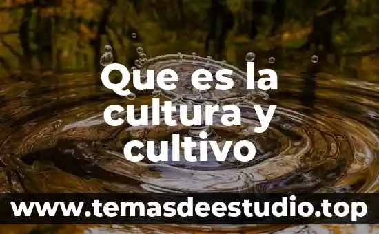 Que es el estudio cultivo 6 Que es la cultura y cultivo