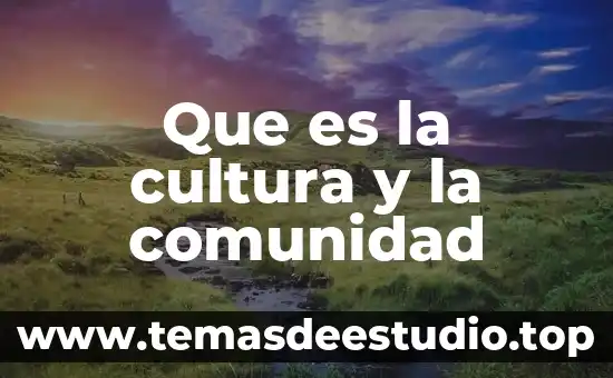 Que es la cultura y la comunidad